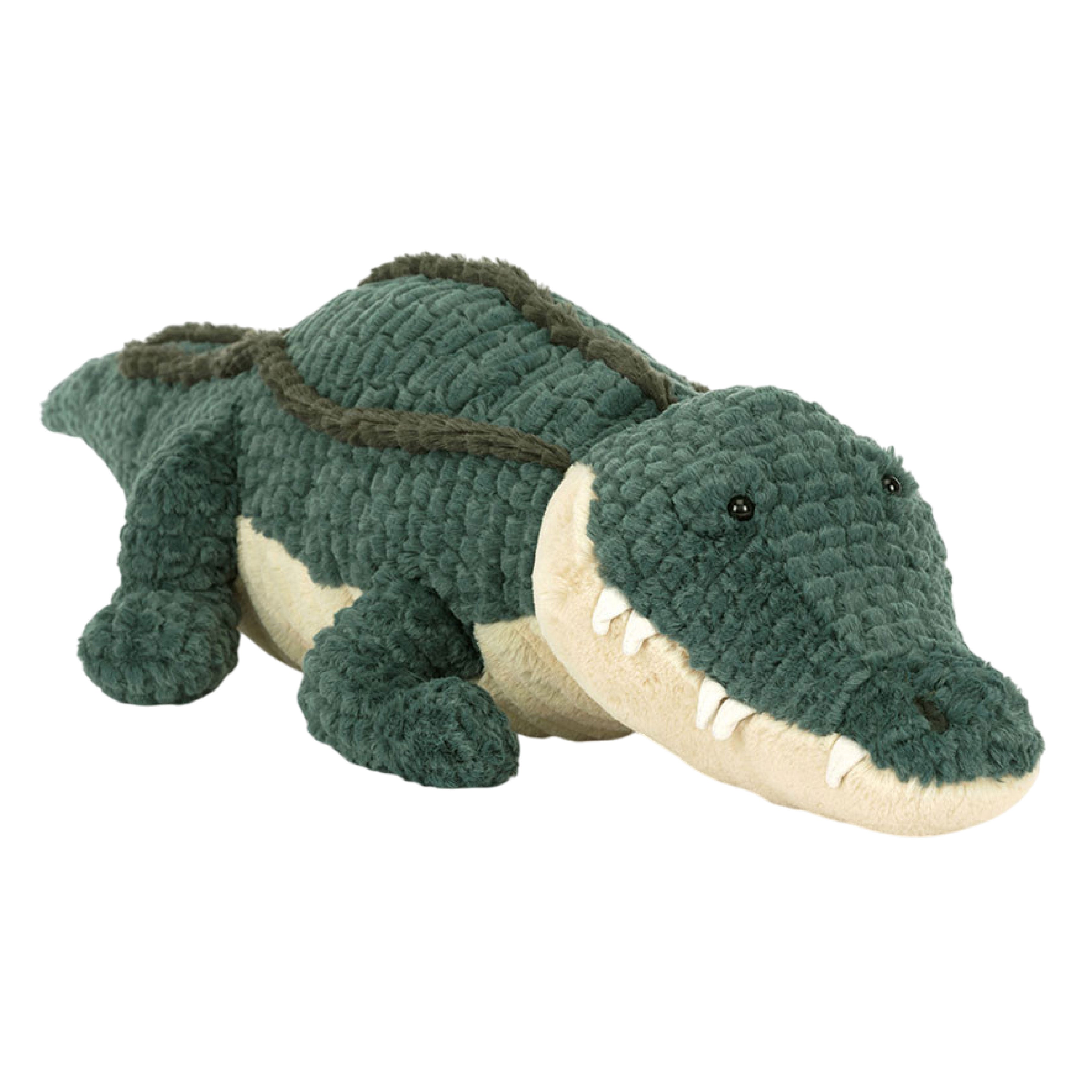 Allexi Alligator