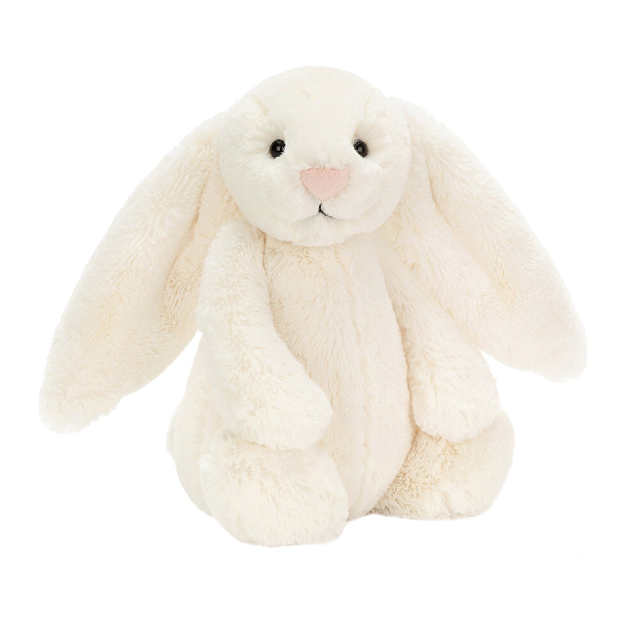 Bashful Bunny