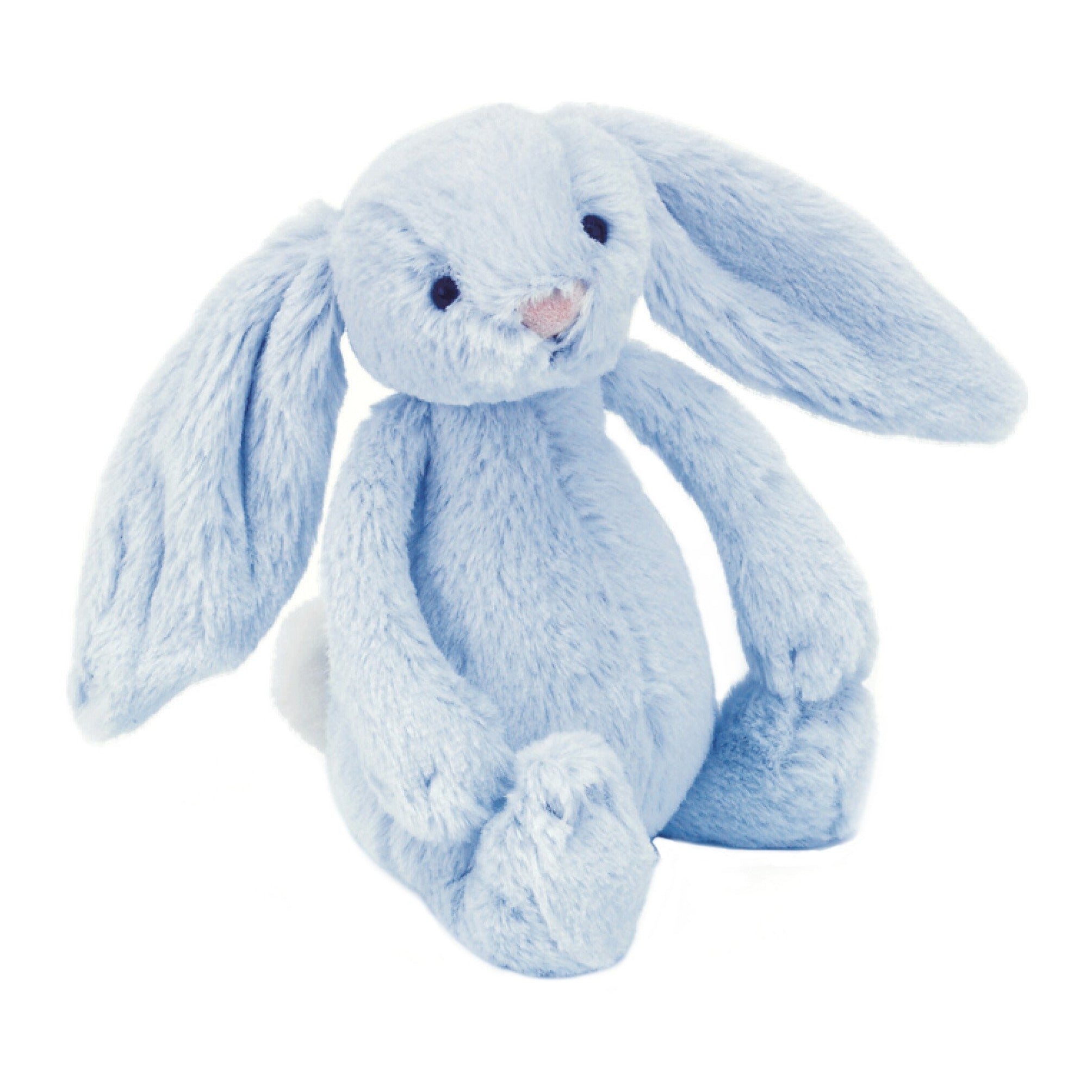 Bashful Bunny