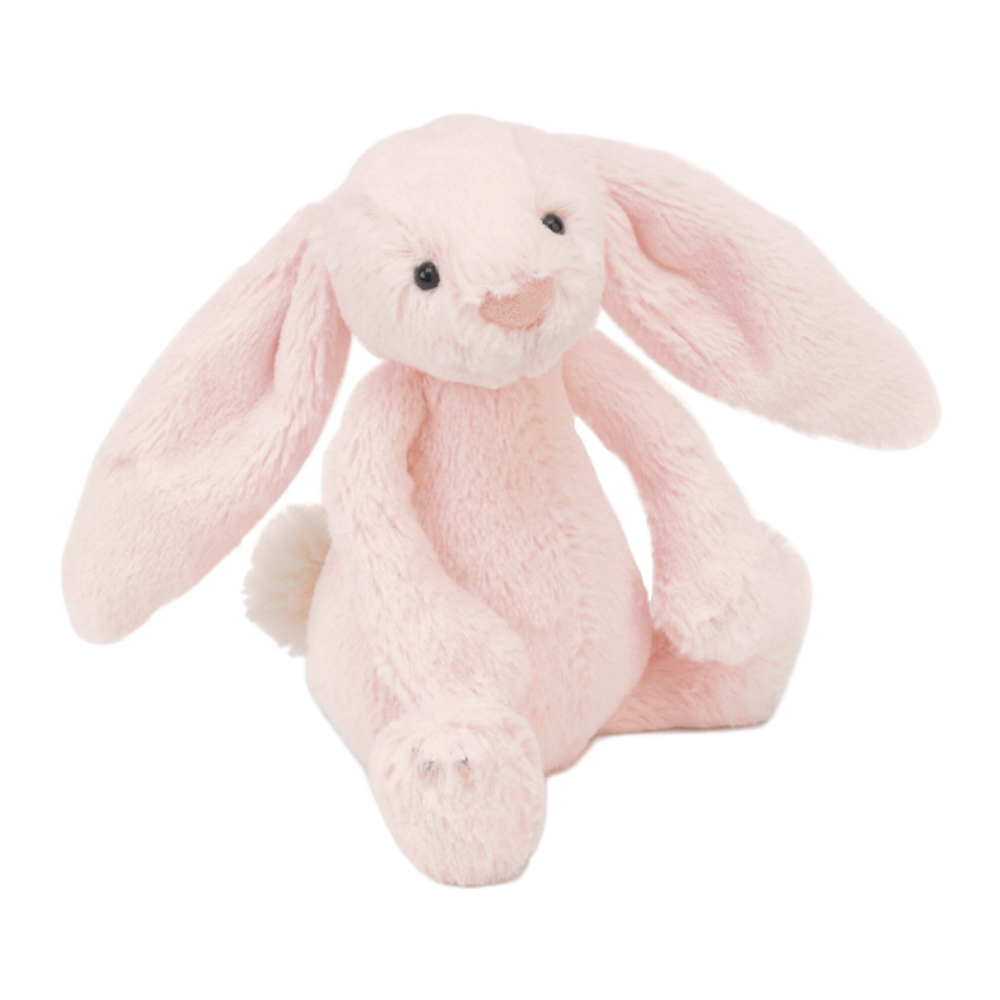 Bashful Bunny