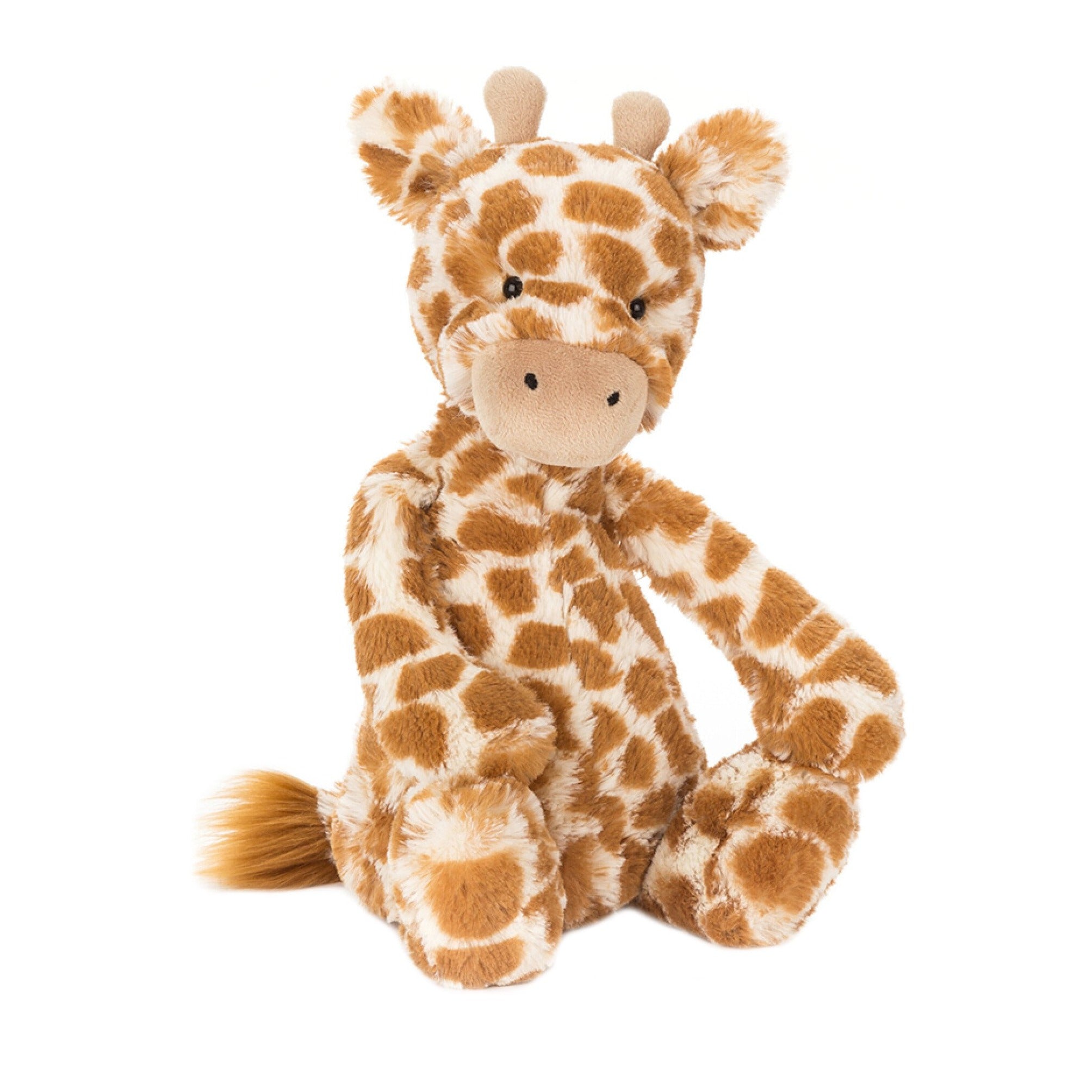 Bashful Giraffe