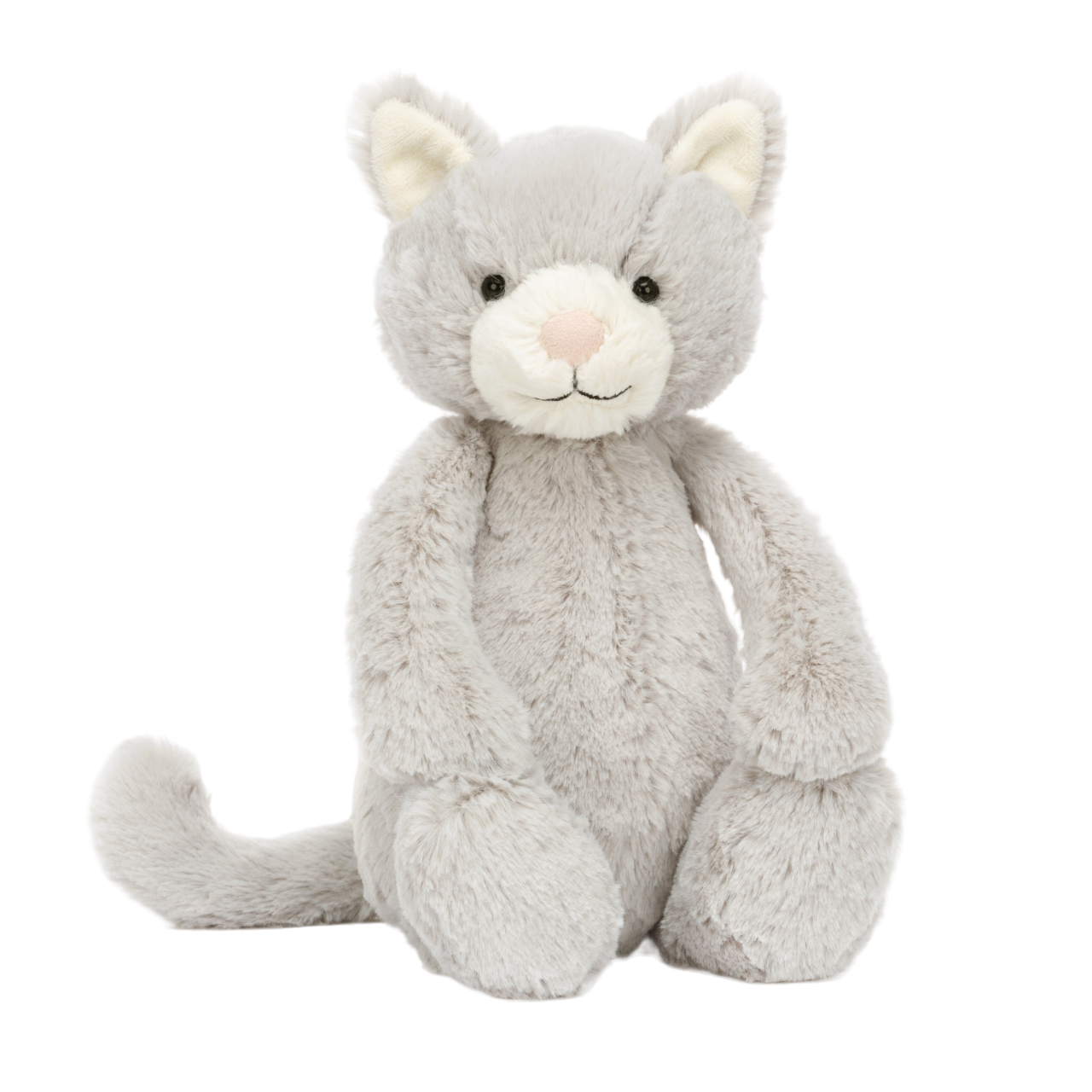 Bashful Grey Kitty