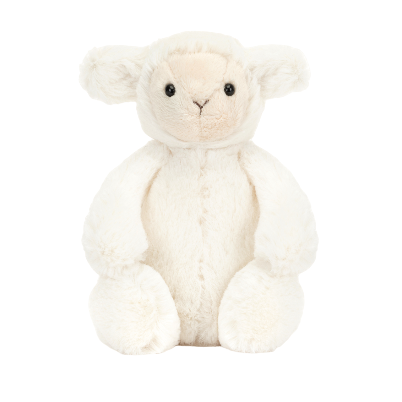 Bashful Lamb