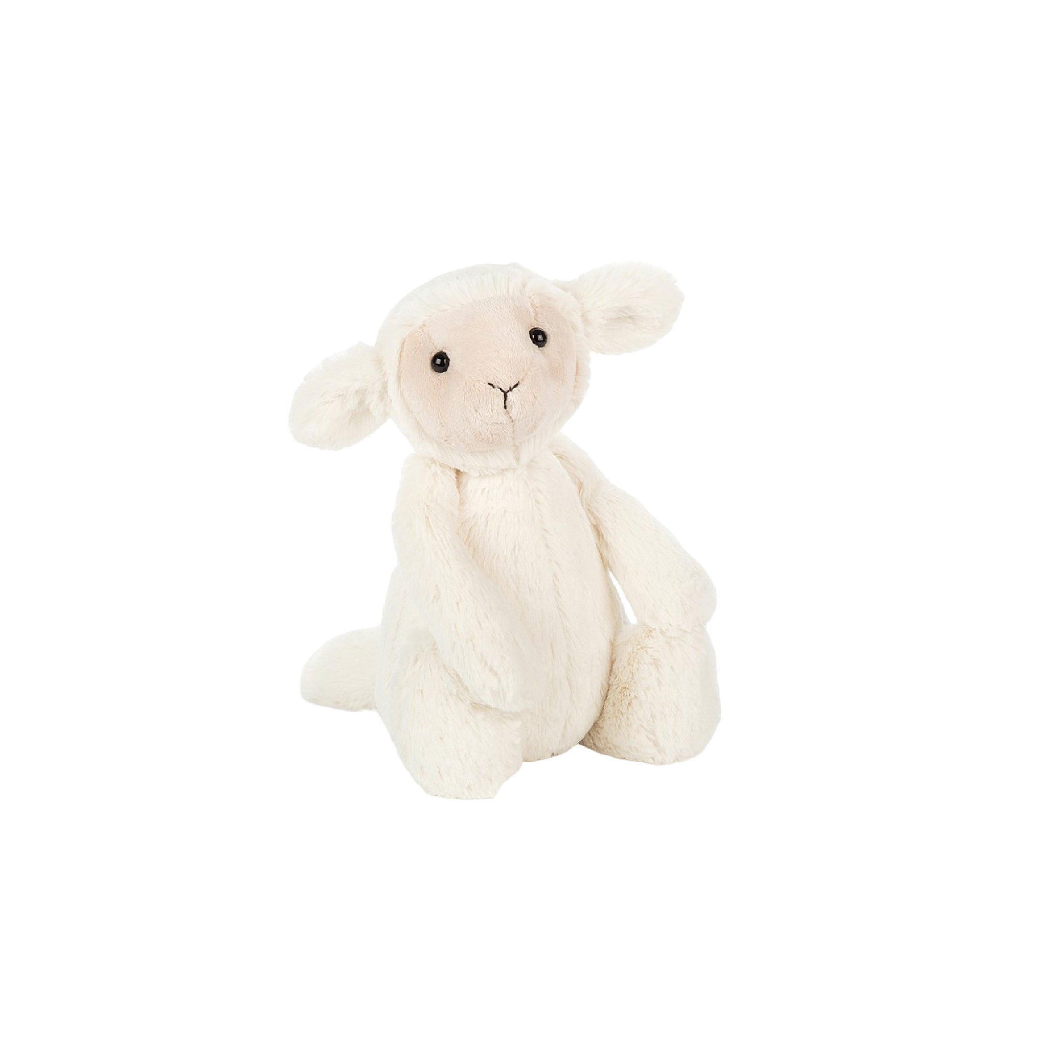Bashful Lamb