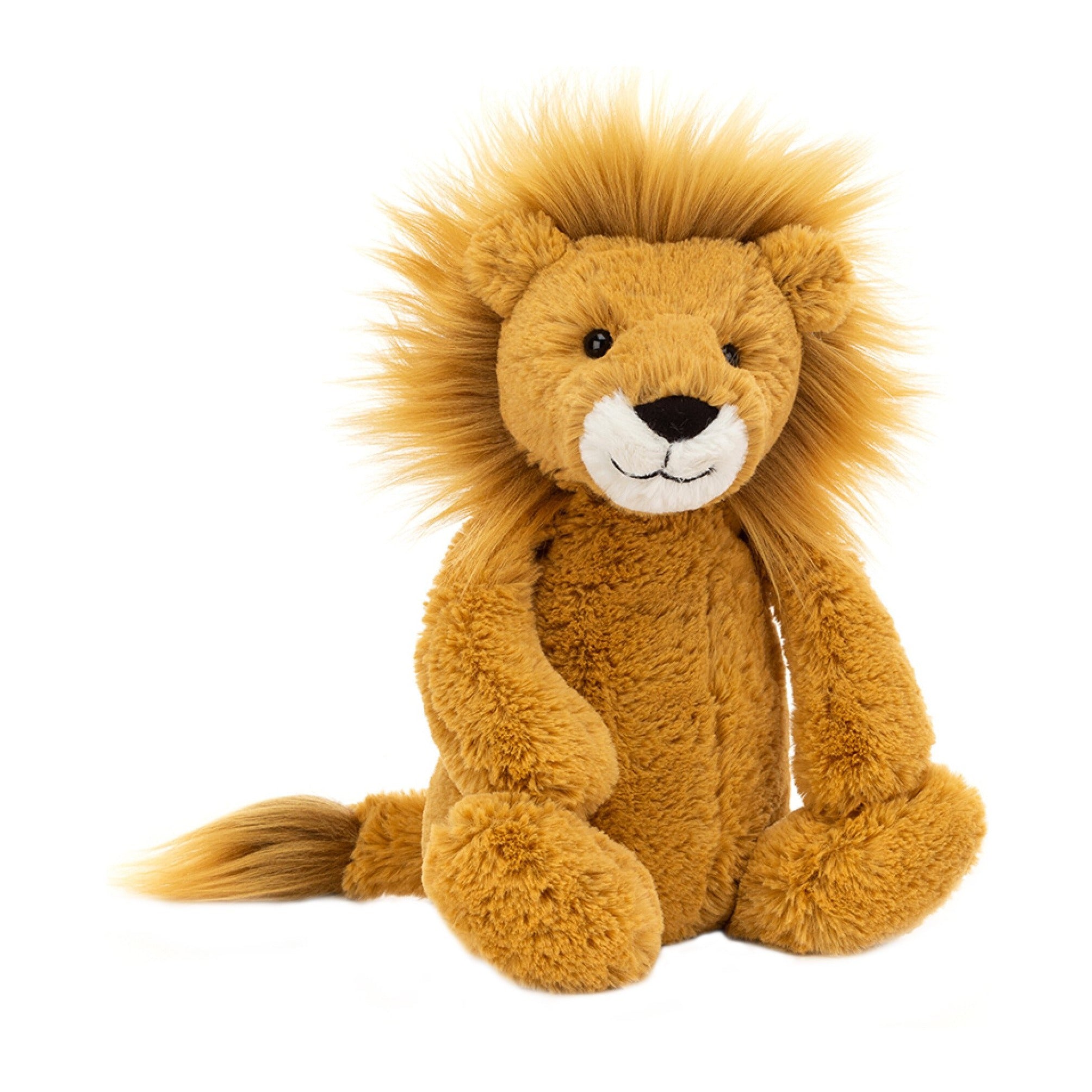 Bashful Lion
