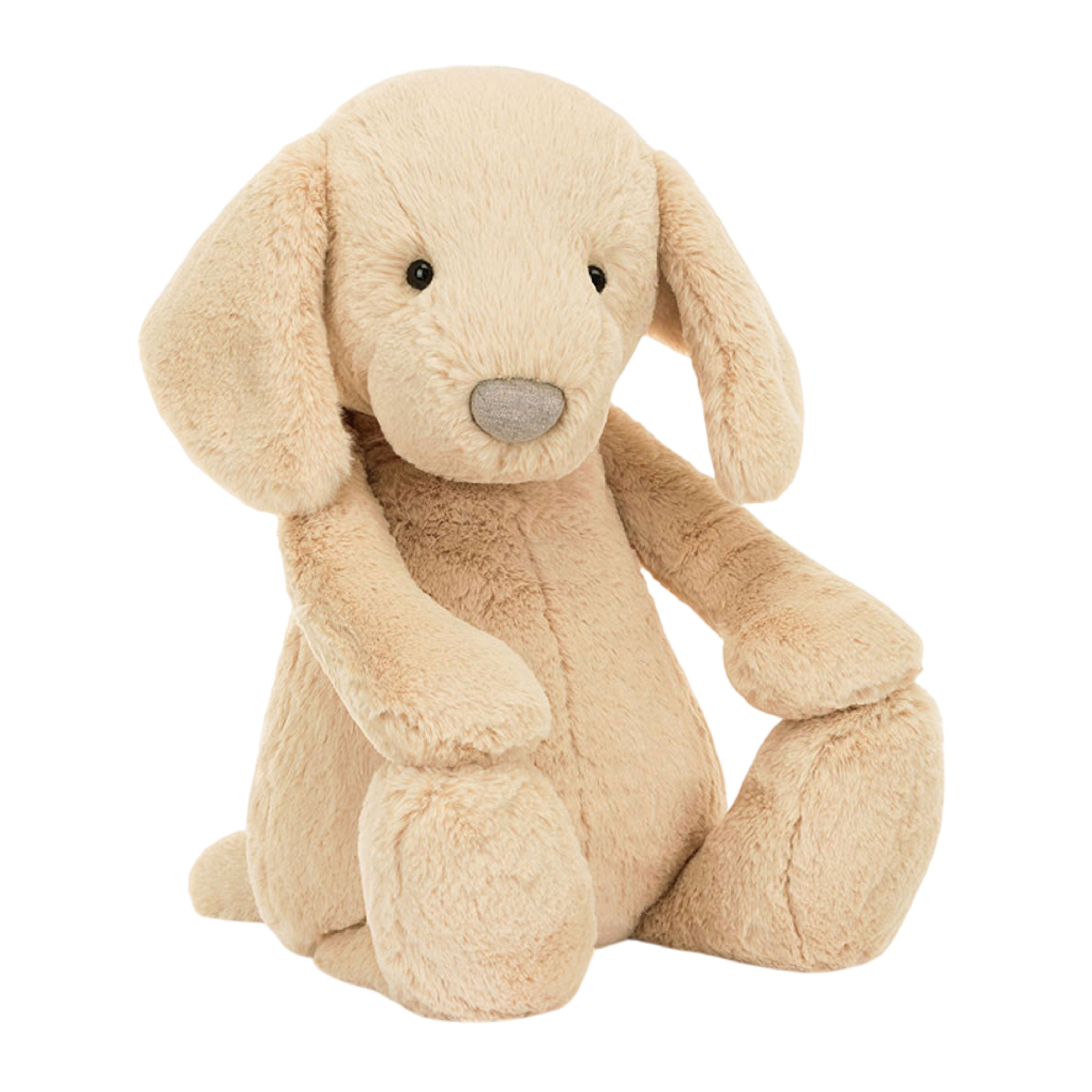 Bashful Luxe Puppy Orlando