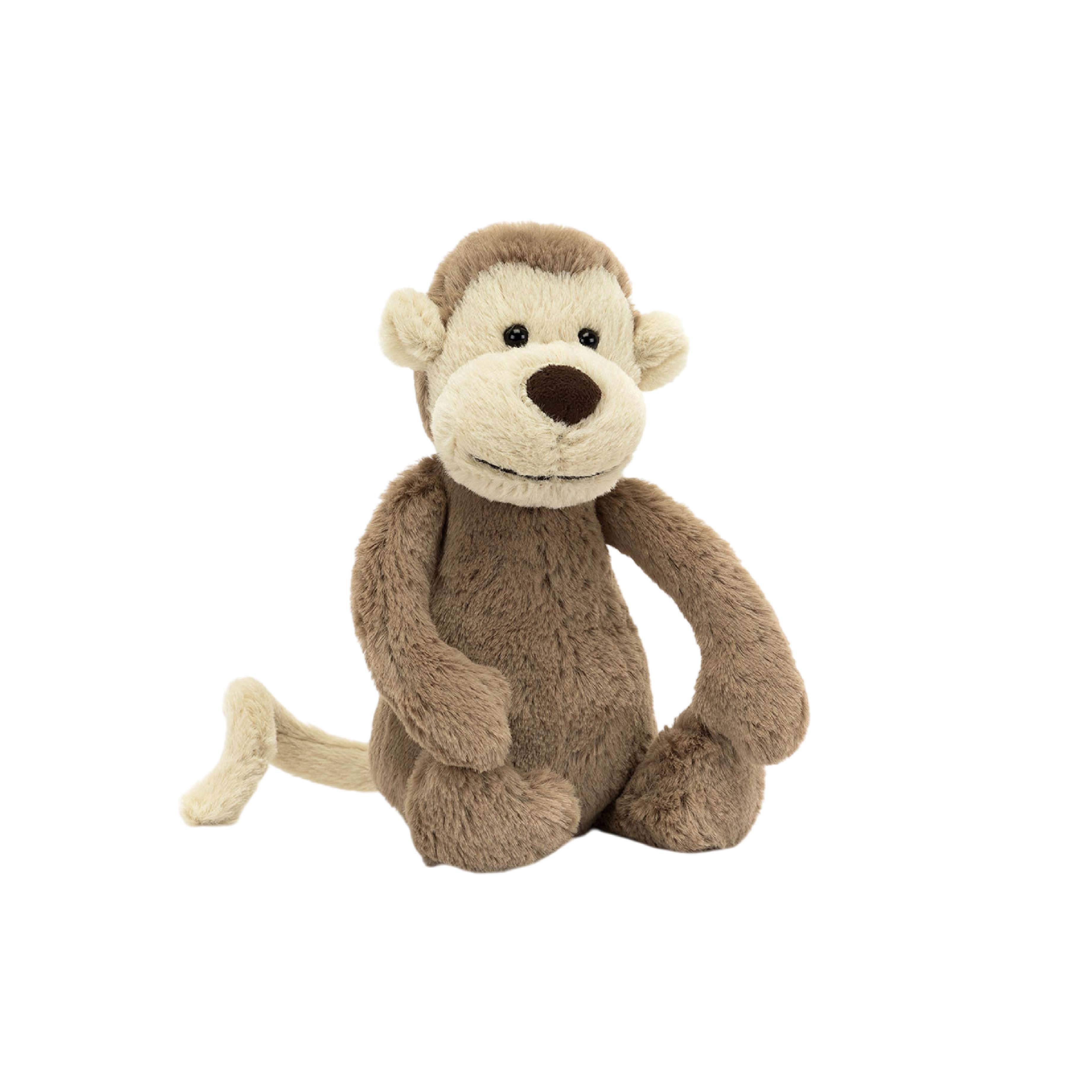 Bashful Monkey