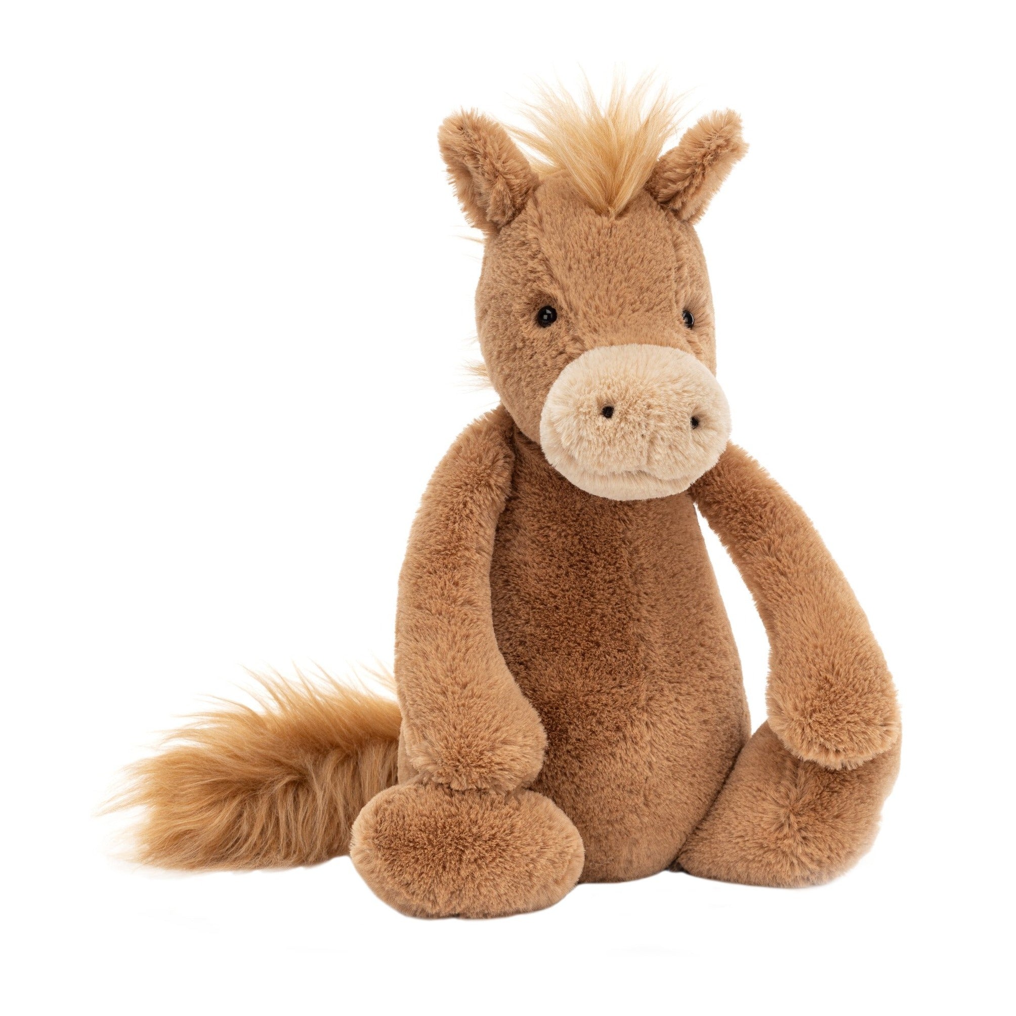Bashful Pony