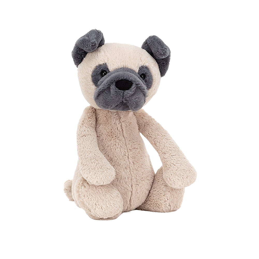 Bashful Pug