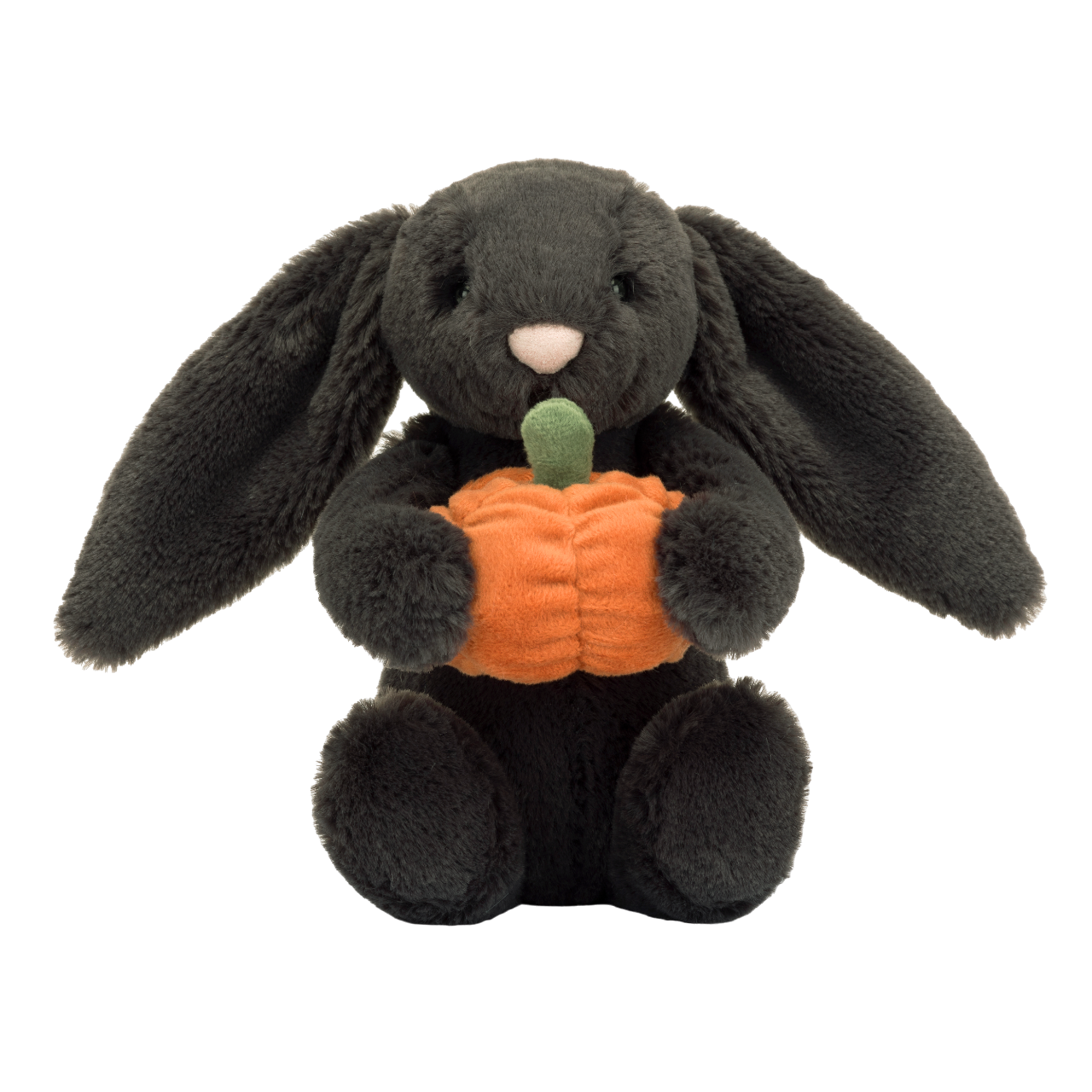 Bashful Pumpkin Bunny