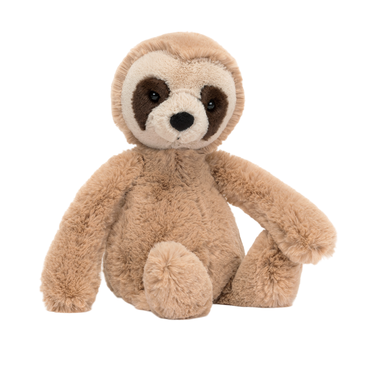 Bashful Sloth