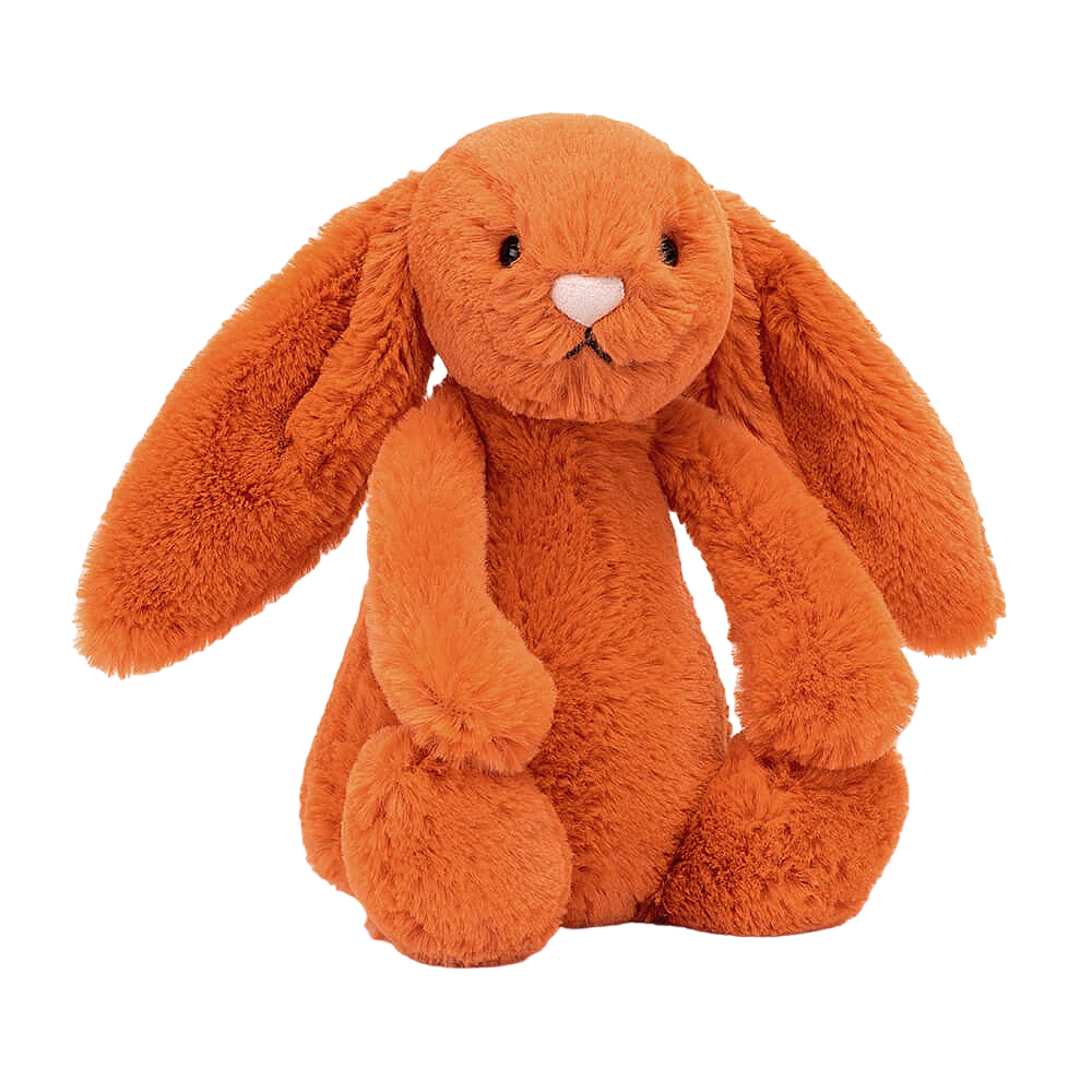 Bashful Tangerine Bunny