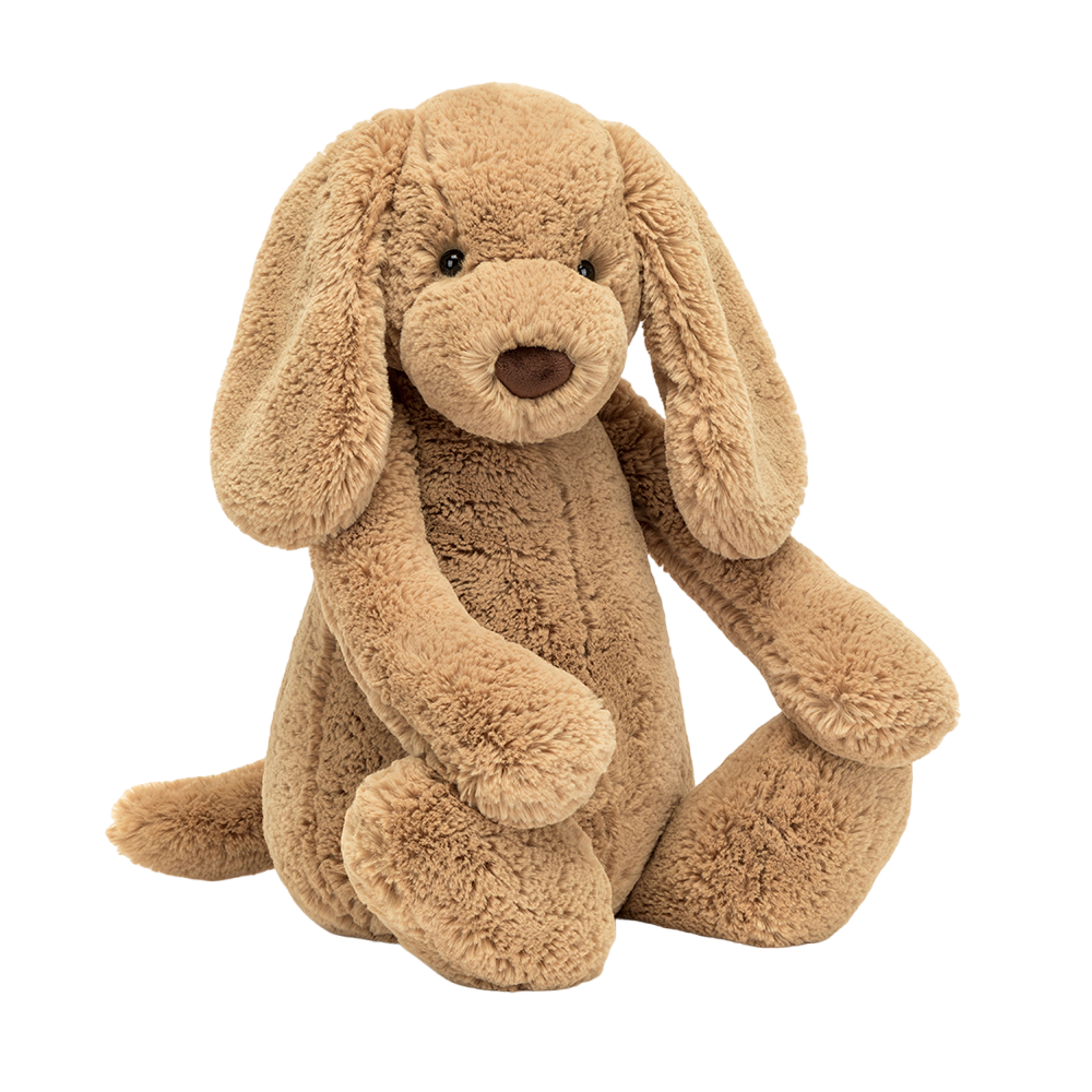 Bashful Toffee Puppy