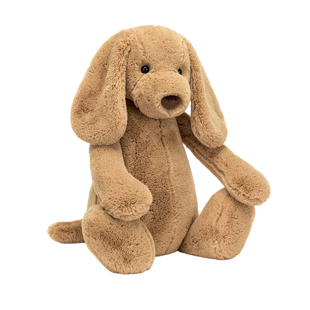 Bashful Toffee Puppy
