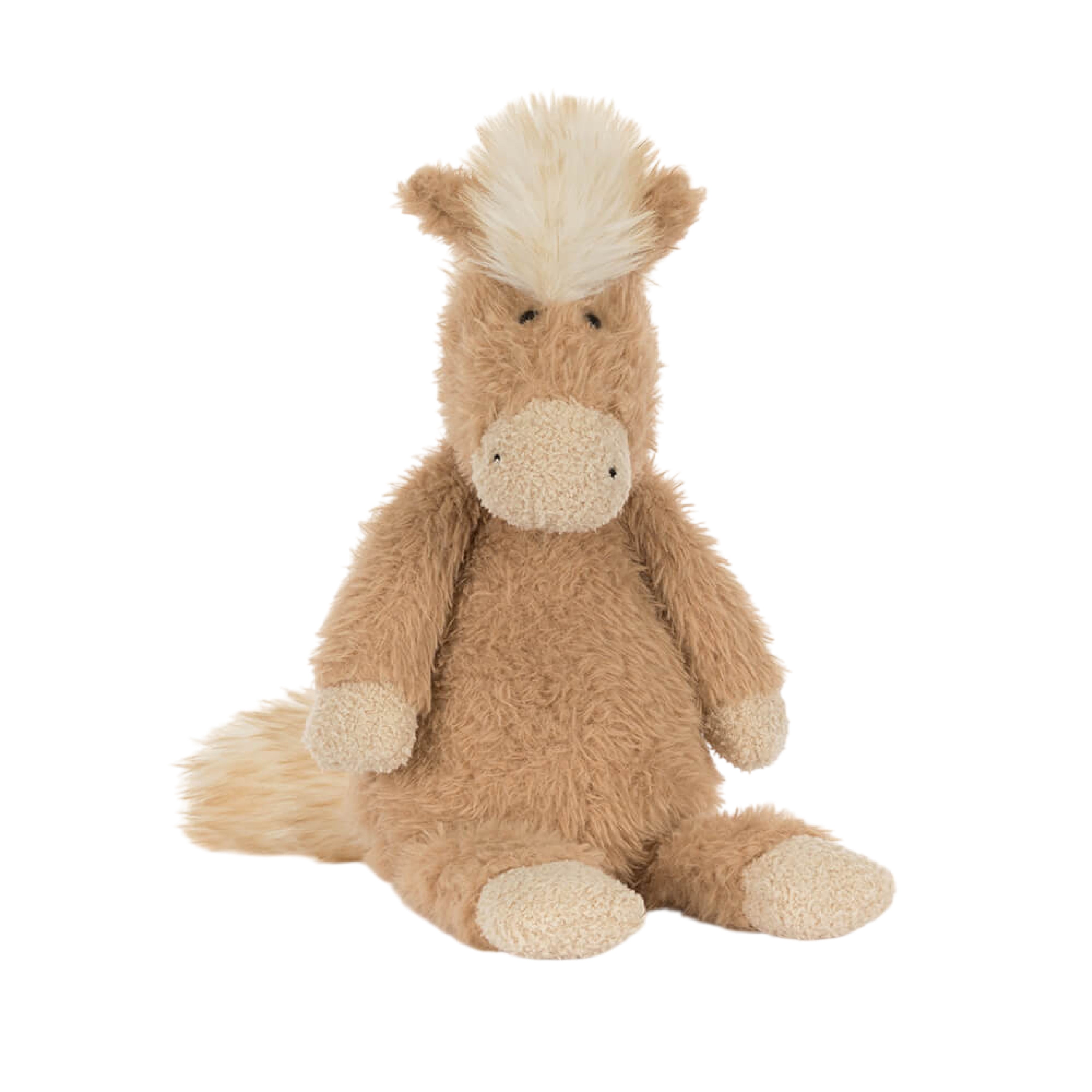 Canterneigh Pony
