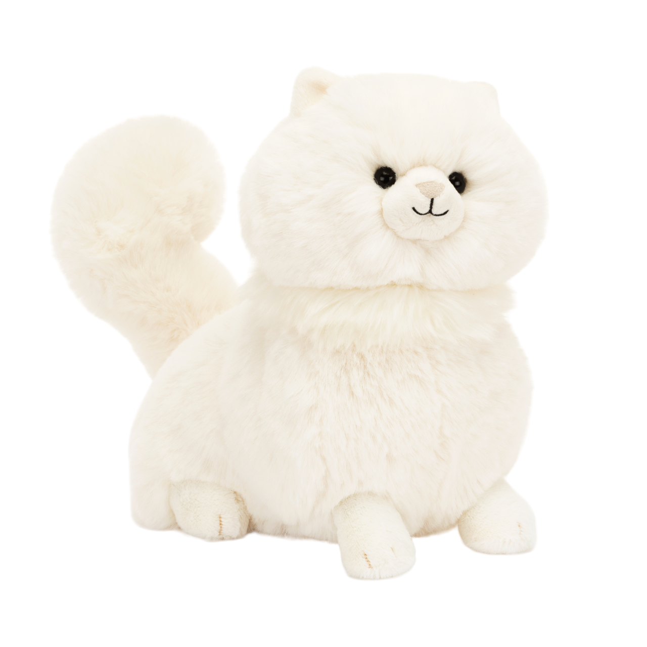 Carissa Persian Cat