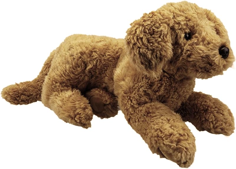 Cockapoo Dog (Medium)