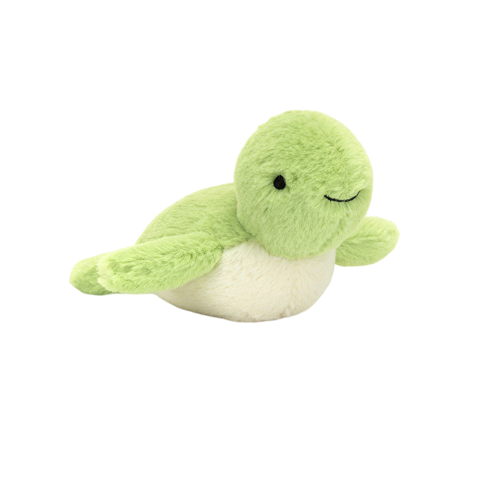 Fluffy Turtle