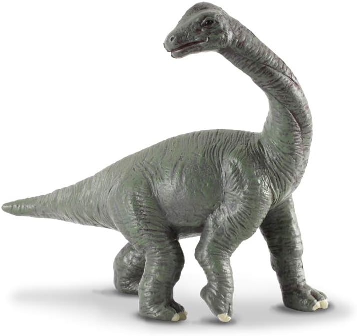 Fossilly Brachiosaurus (Medium)