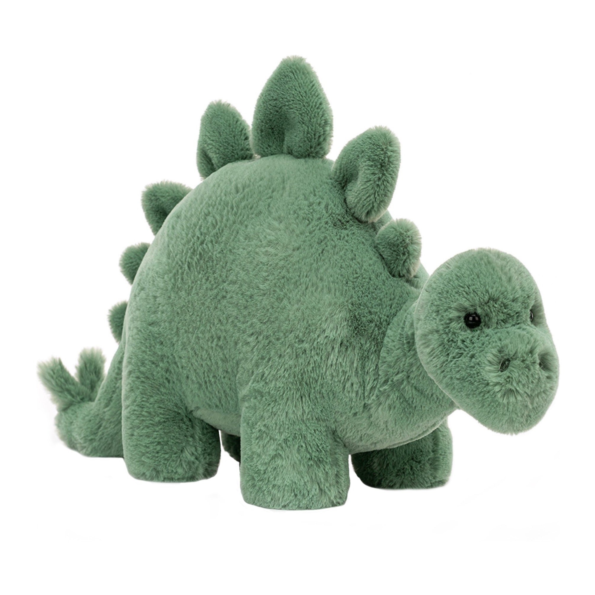 Fossilly Stegosaurus