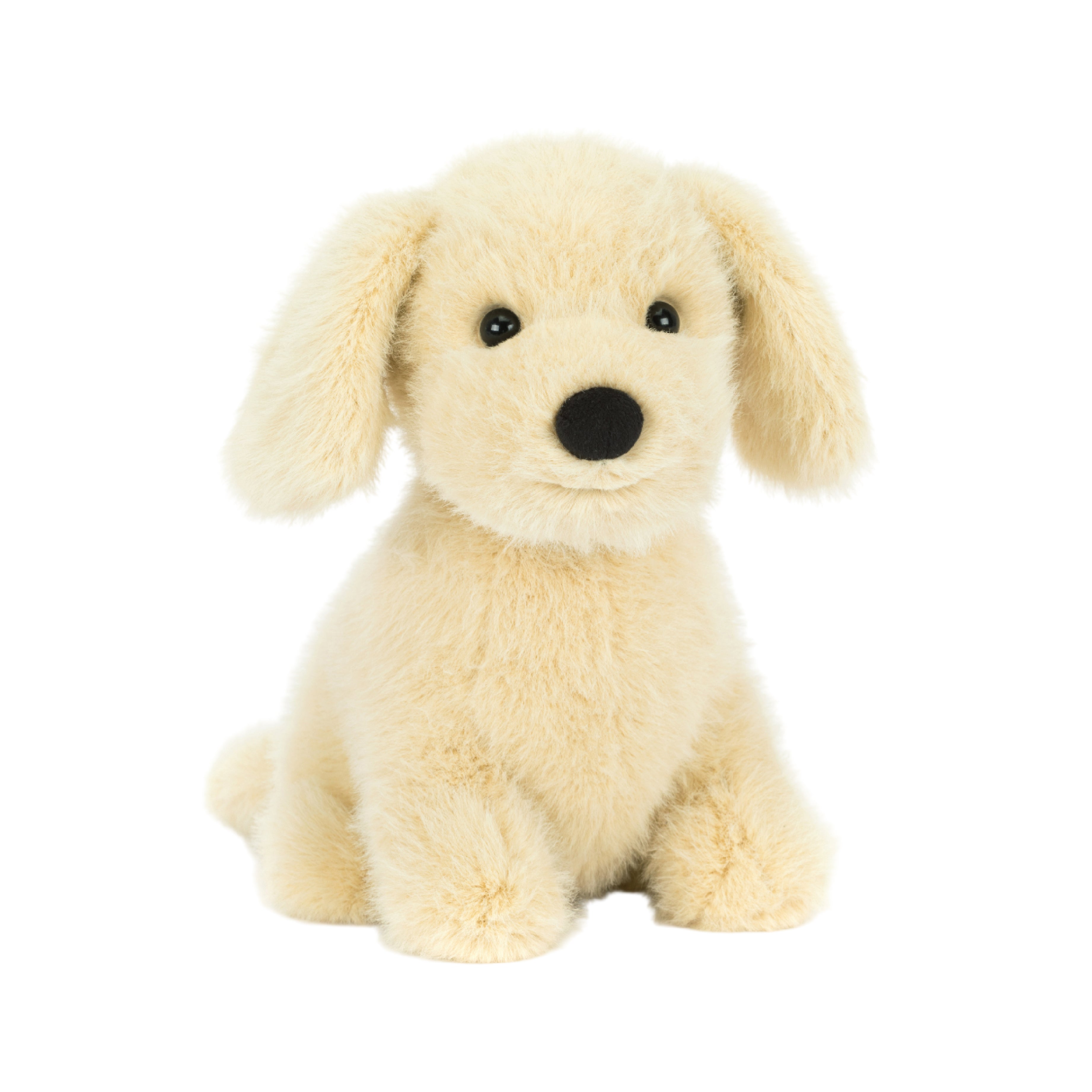 Golden Puppy