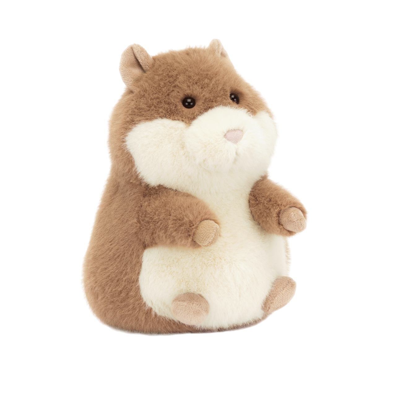 Gordy Guinea Pig