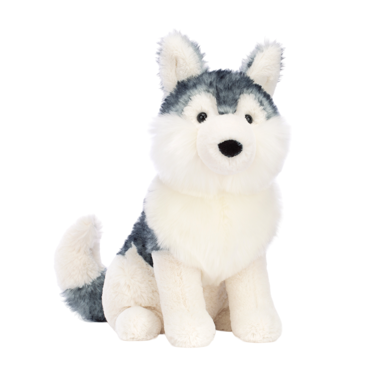 Jackson Husky
