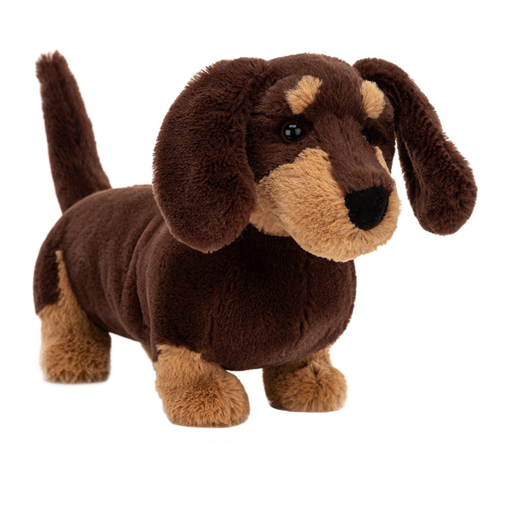 Otto Sausage Dog