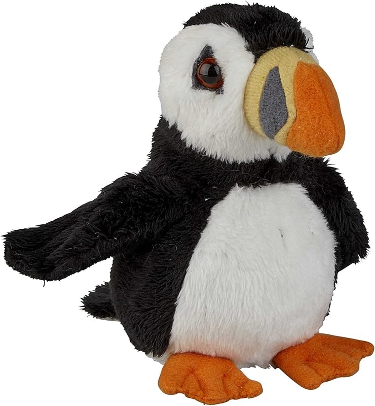 Peregrine Puffin