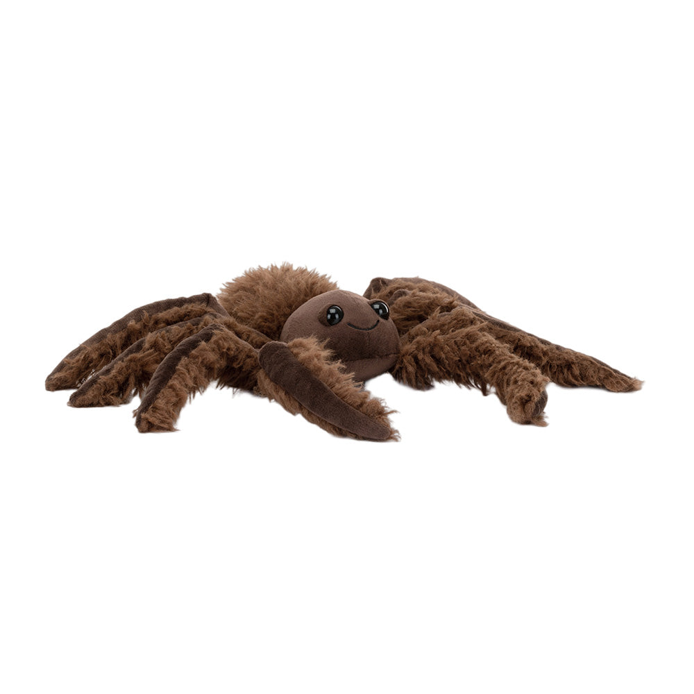Spindleshanks Spider