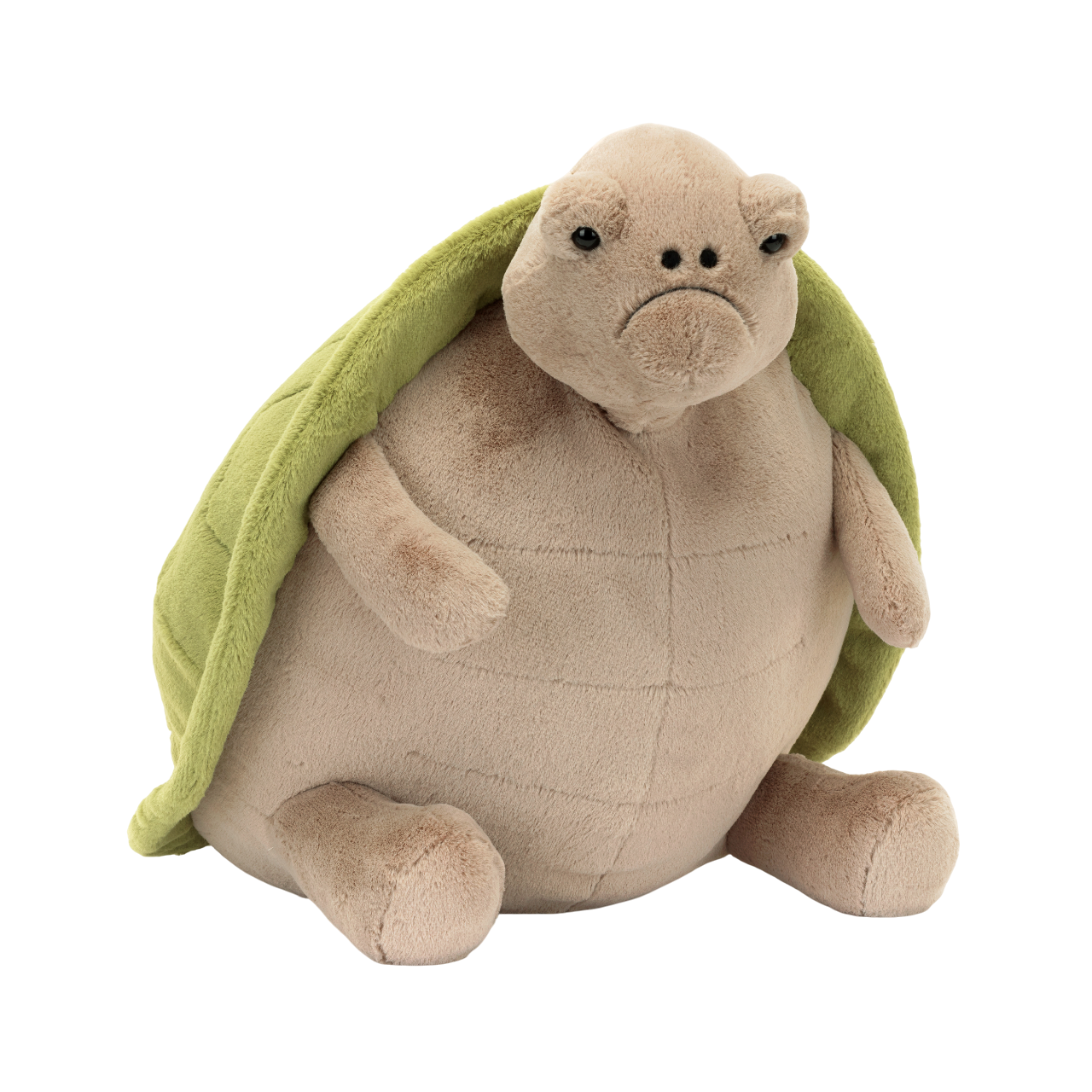 Timmy Turtle